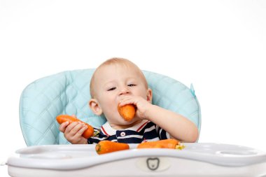 Neşeli küçük çocuk çocuk çocuk koltuğunda oturuyor ve beyaz arka planda havuç yiyor. Taze sebzeler çocuklar için çok yararlıdır. Zeki yetişkinler iyi beslenme uzmanlarıdır..