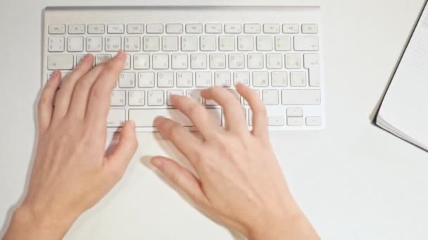 Vrouwelijke handen typen op een toetsenbord in het kantoor — Stockvideo