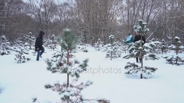 Freunde haben eine Schneeballschlacht — Stockvideo