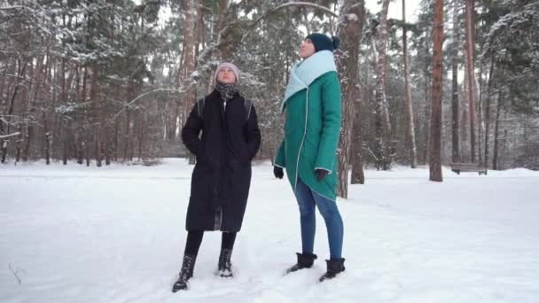 Сніг падає з дерева на голову жінкам. повільний рух — стокове відео