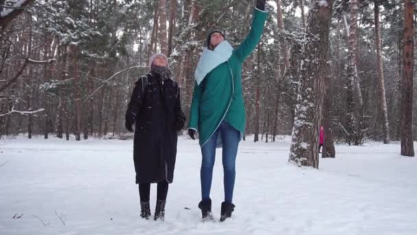 Snö faller från träd på kvinnans huvud. slowmotion — Stockvideo