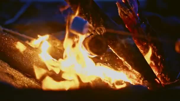 Fiesta en la playa al atardecer con hoguera y tostado pantano mellows con amigos — Vídeos de Stock