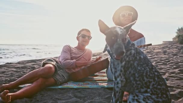 Pareja joven divirtiéndose en la playa. Fin de semana en la isla. Pareja joven cantando con una guitarra en la playa su perro divertido. Picnic en la playa — Vídeo de stock