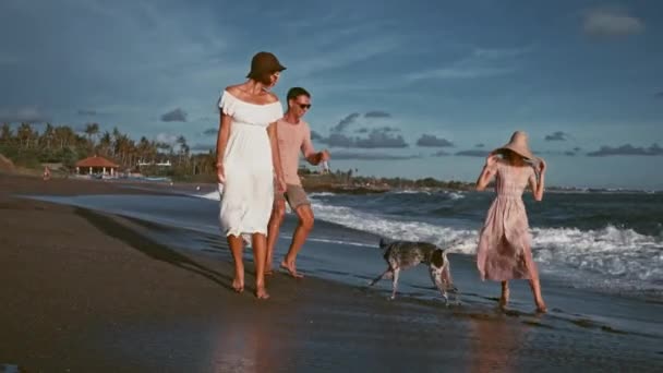 Grupo de amigos se divertindo relaxando na praia ao pôr do sol — Vídeo de Stock