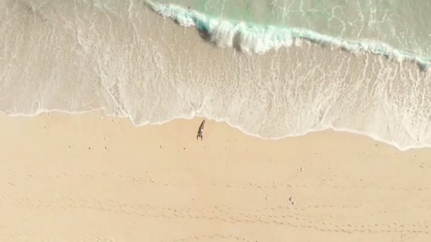 Повітряний безпілотник вид на пташку жінки в купальнику лежав на пляжі з білим піском в океані — стокове відео
