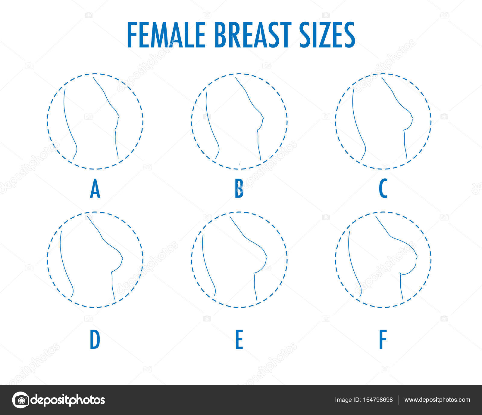 Set of round line icons of different female breast size Stock