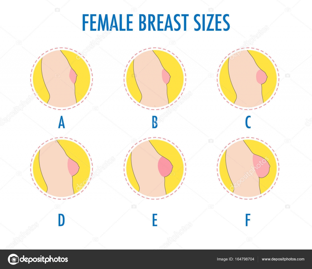 Different Breast Sizes Chart