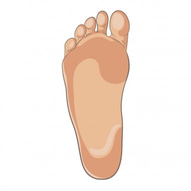 Foot sole illustration clipart