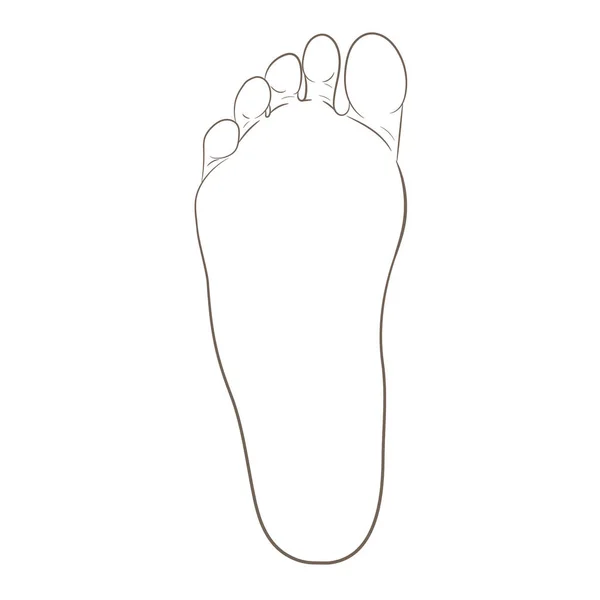 Foot sole contour illustration — Stock Vector