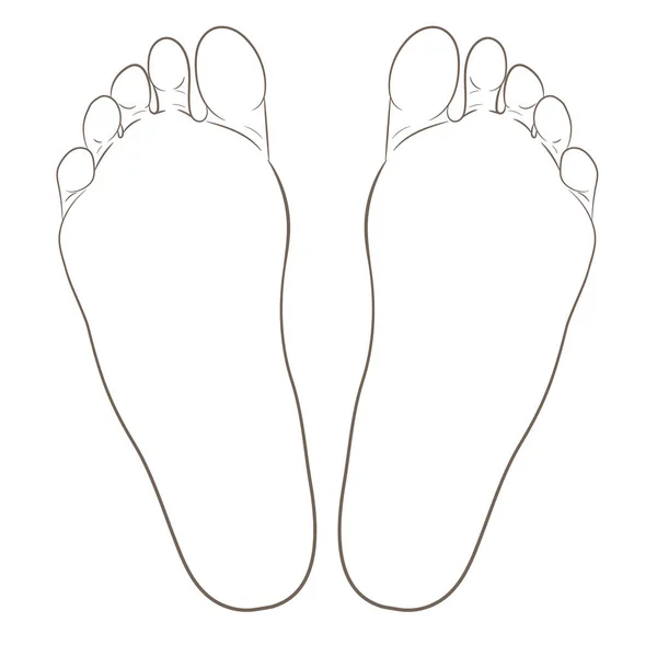 Konturabbildung der linken und rechten Fußsohle — Stockvektor