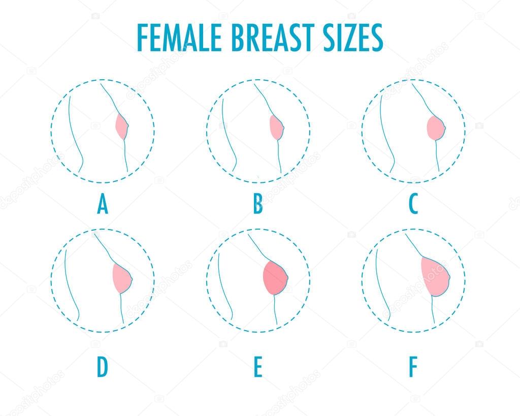 Tetas tetas