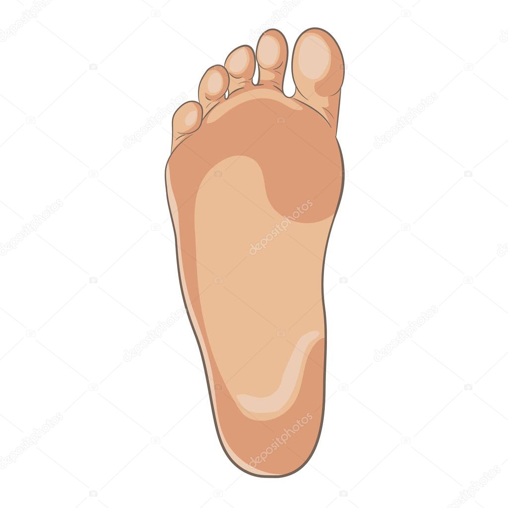 Foot sole illustration