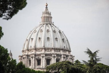 Vatikan'daki St. Peter Katedrali