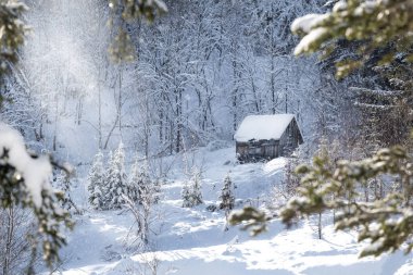Kışın ağaçları arasında dağ evi. kar düşüyor