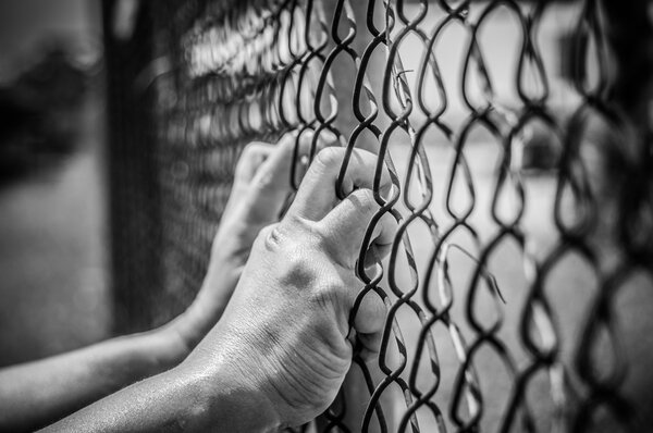 escape to the freedom