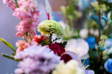 Renklerin seçici odağı. Çiçekler, çiçekler ve bir sürü renk.