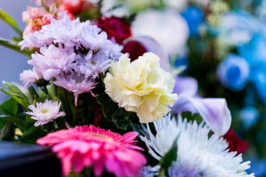 Renklerin seçici odağı. Çiçekler, çiçekler ve bir sürü renk.