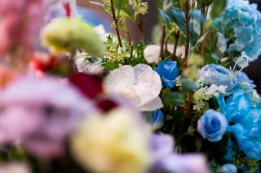 Renklerin seçici odağı. Çiçekler, çiçekler ve bir sürü renk.