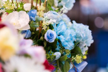 Renklerin seçici odağı. Çiçekler, çiçekler ve bir sürü renk.