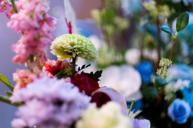 Renklerin seçici odağı. Çiçekler, çiçekler ve bir sürü renk.