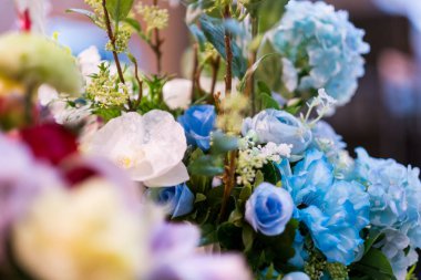 Renklerin seçici odağı. Çiçekler, çiçekler ve bir sürü renk.