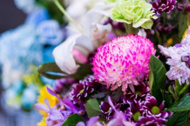 Renklerin seçici odağı. Çiçekler, çiçekler ve bir sürü renk.