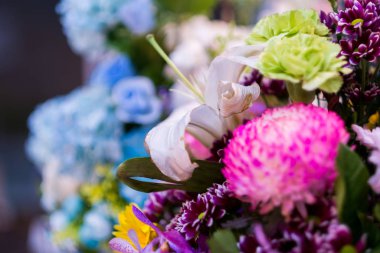 Renklerin seçici odağı. Çiçekler, çiçekler ve bir sürü renk.