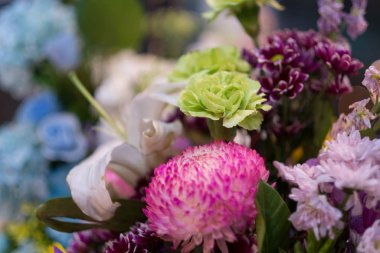 Renklerin seçici odağı. Çiçekler, çiçekler ve bir sürü renk.