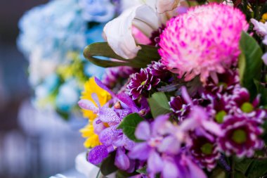 Renklerin seçici odağı. Çiçekler, çiçekler ve bir sürü renk.