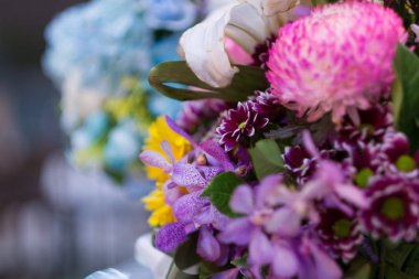 Rengin seçici odağı tam çiçek.