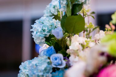 Rengin seçici odağı tam çiçek.