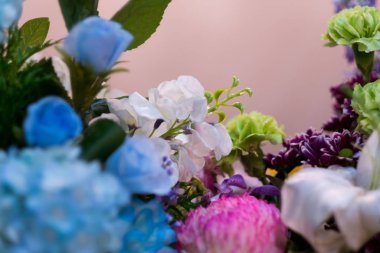 Rengin seçici odağı tam çiçek.