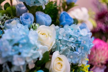 Rengin seçici odağı tam çiçek.