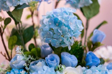 Rengin seçici odağı tam çiçek.