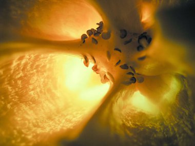 İçine sarı dolmalık biber tohumu serpiştirilmiş seçici odaklı fotoğraf..