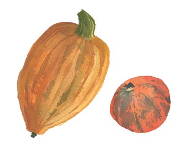 Suluboya kabak illüstrasyon