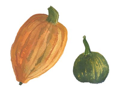 Suluboya kabak illüstrasyon