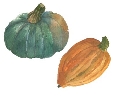 Suluboya kabak illüstrasyon