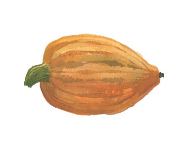 Suluboya kabak illüstrasyon