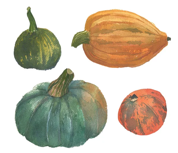 Acuarela Calabaza ilustración —  Fotos de Stock