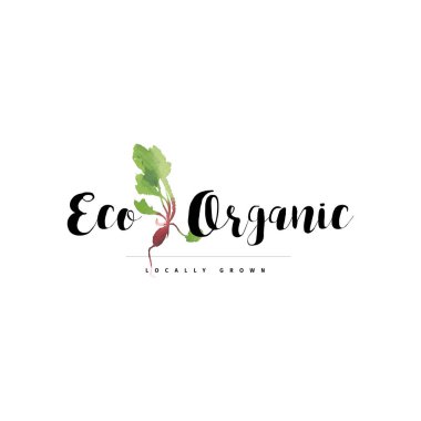   Organik logo vektör turp ve taze yeşilimsi bırakır.