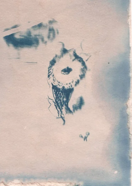 Napraforgó alkotás, a műszaki cyanotypes — Stock Fotó