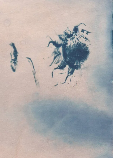 Sunflowers artwork with cyanotypes  technical