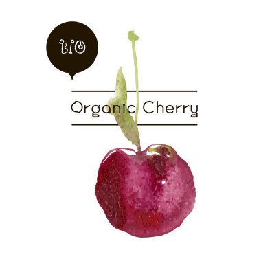 Vektör olgun taze doğa kiraz.
