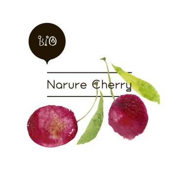 Vektör olgun taze doğa kiraz.