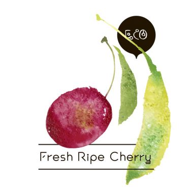 Vektör olgun taze doğa kiraz.