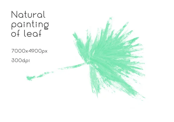 수채화 잎 그림입니다. 자연적인 그래픽 잉크 팜 텍스처. — 스톡 사진
