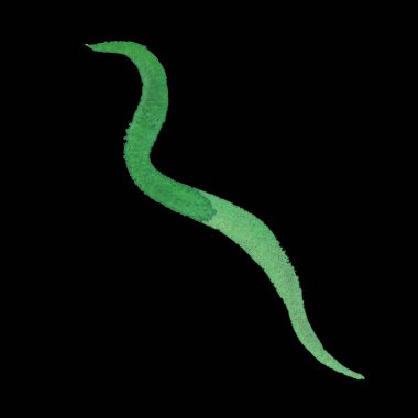 Doğal kağıt doku suluboya sanatsal öğelerle. Web afiş oluşturmak için şaşırtıcı, arka planlar, el ilanları ve farklı tasarım İnşaat.