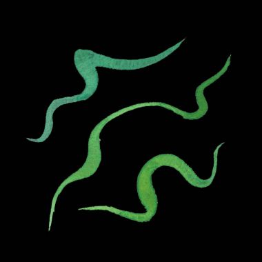 Doğal kağıt doku suluboya sanatsal öğelerle. Web afiş oluşturmak için şaşırtıcı, arka planlar, el ilanları ve farklı tasarım İnşaat.