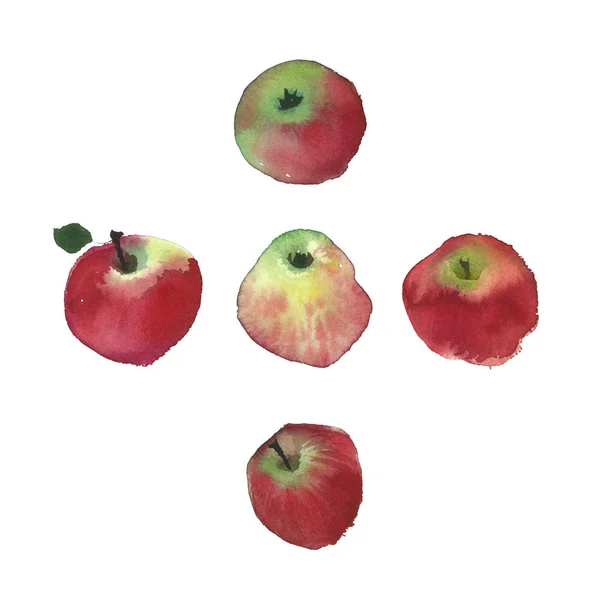 Tradiční Ruské Ovoce Jablka Obraz Akvarel Rustikální Svatba Červené Jablko — Stock fotografie
